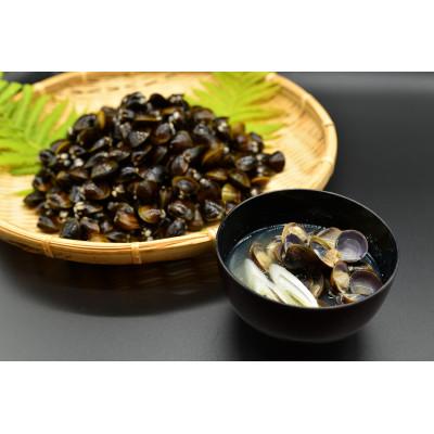 ふるさと納税 北見市 [毎月定期便]2代目漁師の厳選した無添加大粒しじみ貝 1kg(500g×2袋)全10回