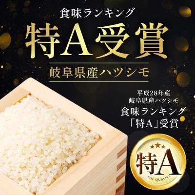 ふるさと納税 羽島市 【毎月定期便】岐阜県産ハツシモ(無洗米) 10kg全3