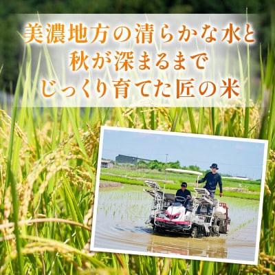 ふるさと納税 羽島市 【毎月定期便】岐阜県産ハツシモ(精米) 10kg全3回