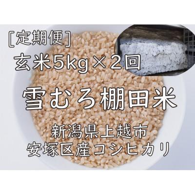 ふるさと納税 上越市 【毎月定期便】雪むろ棚田米コシヒカリ5kg(5kg×1袋)玄米-新潟県上越市安塚区産-全2回 | 