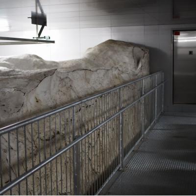 ふるさと納税 上越市 【毎月定期便】雪むろ棚田米コシヒカリ5kg(5kg×1袋)玄米-新潟県上越市安塚区産-全2回 |  | 03