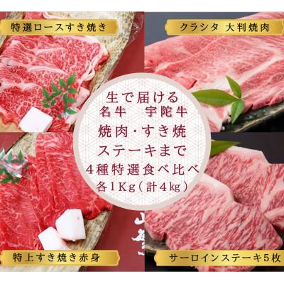 ふるさと納税 宇陀市 [毎月定期便]宇陀牛 4種食べ比べ 各1kg クラシタ サーロイン 特上すき焼赤身 特選ロース全4回