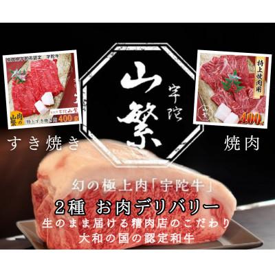 ふるさと納税 宇陀市 [2週間毎定期便]おウチご飯 2種の宇陀牛 お肉デリバリー 特上焼肉 赤身すき焼 各400g全24回