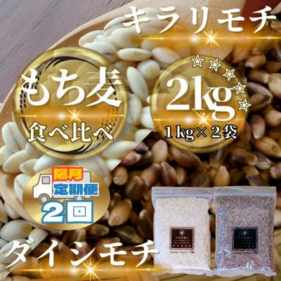 ふるさと納税 鳥栖市 [2ヵ月毎定期便][もち麦食べ比べ]キラリモチ1kg・ダイシモチ1kg(鳥栖市)全2回