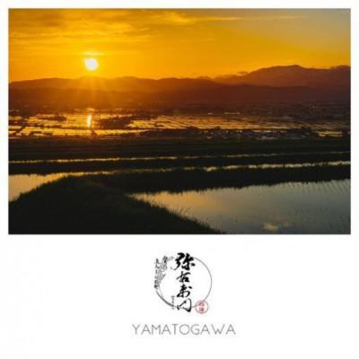 ふるさと納税 喜多方市 [毎月定期便]雪蔵銀ぴか米ミルキークイーン 精米10kg全6回