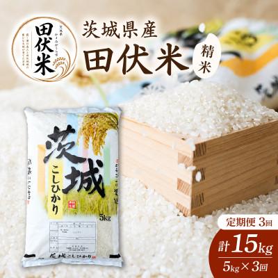 ふるさと納税 かすみがうら市 【毎月定期便】新米 田伏米のコシヒカリ 5kg全3回 | お米 こしひかり 茨城県かすみがうら市産 | 