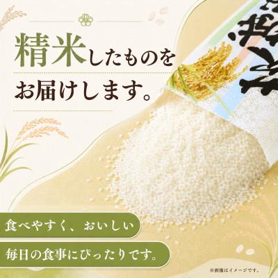 ふるさと納税 かすみがうら市 【毎月定期便】新米 田伏米のコシヒカリ 5kg全3回 | お米 こしひかり 茨城県かすみがうら市産 |  | 01