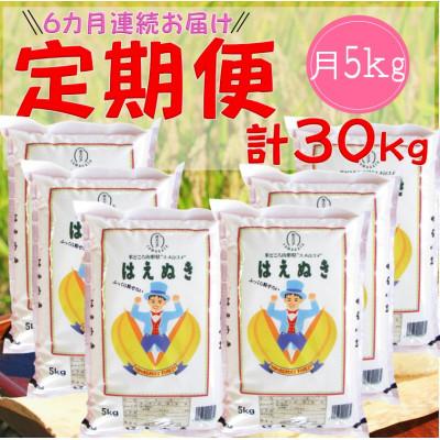 ふるさと納税 酒田市 [毎月定期便]山形県産はえぬき 精米5kg全6回