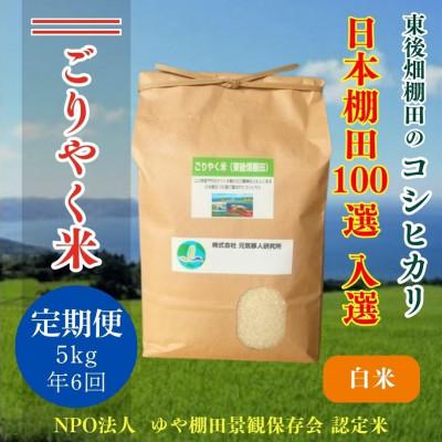 ふるさと納税 長門市 [毎月定期便]こしひかり「ごりやく米」白米5kg(1604)全6回