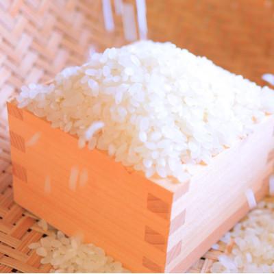 ふるさと納税 新庄市 [毎月定期便]黒澤のはえぬき(精米)3kg全3回