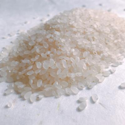 ふるさと納税 新庄市 [毎月定期便]至福のはえぬき(精米)3kg全3回