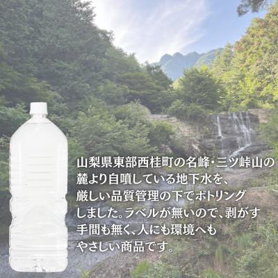 ふるさと納税 西桂町 【毎月定期便】【訳あり】ラベルレス 富士山の自然の恵み美味しいミネラルウォーター  2L×1全10回の画像