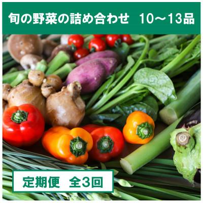 ふるさと納税 南国市 [毎月定期便][土佐野菜]朝採れ 旬の野菜の詰め合わせ 大全3回
