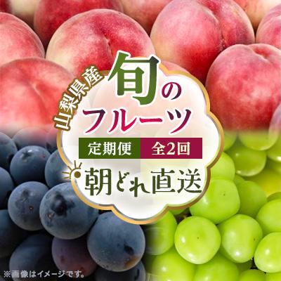 ふるさと納税 山梨市 【発送月固定定期便】旬のフルーツ定期便 桃2kg・巨峰/シャイン全2回 | 