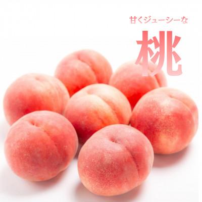 ふるさと納税 山梨市 【発送月固定定期便】旬のフルーツ定期便 桃2kg・巨峰/シャイン全2回 |  | 01