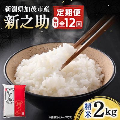 ふるさと納税 加茂市 [毎月定期便]新之助 精米2kg全12回