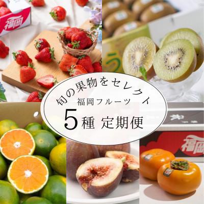 ふるさと納税 宇美町 [発送月固定定期便]旬の福岡フルーツ あまおう・とよみつひめ・早味みかん・秋王・甘うぃ(宇美)全5回