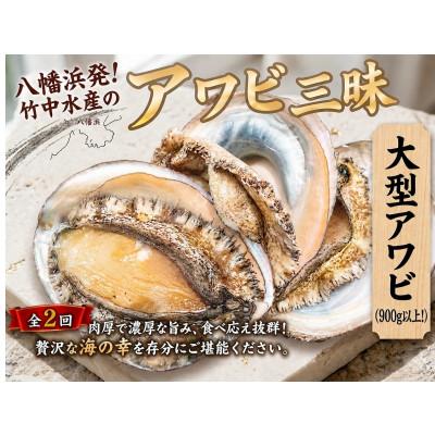 ふるさと納税 八幡浜市 [3ヵ月毎定期便]八幡浜発竹中水産の大アワビ900g以上(2〜5個)[H22-289]全2回
