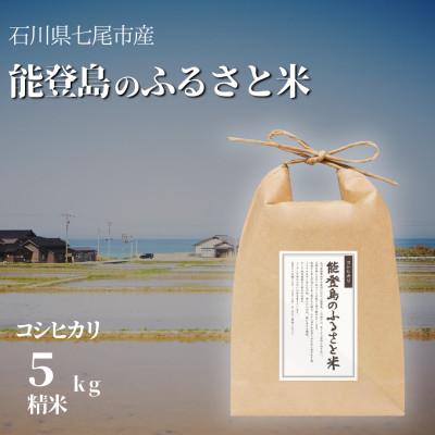ふるさと納税 七尾市 [2ヵ月毎定期便]能登島のふるさと米 コシヒカリ5kg 精米全6回