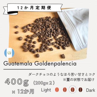 ふるさと納税 筑後市 [発送月固定定期便]グアテマラ ゴールデンパレンシア(中深煎り)200g×2袋全12回
