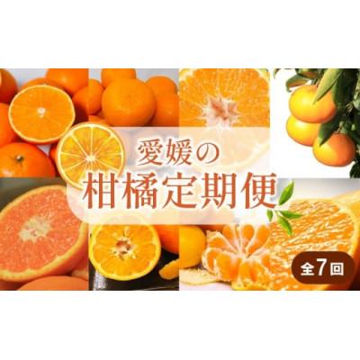 ふるさと納税 松山市 [発送月固定定期便]興居島みかん あいか はれひめ いよかん せとか 神ポン カラマンダリン全7回