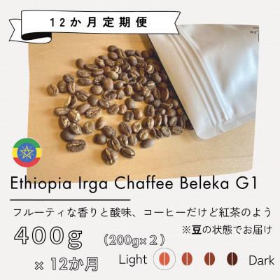 ふるさと納税 筑後市 [発送月固定定期便]エチオピア イルガチャフィ ベレカG1(浅煎り)200g×2袋全12回