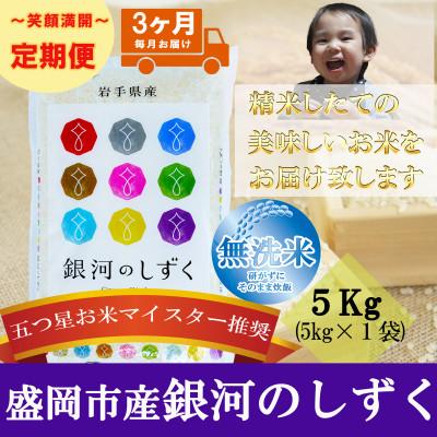 ふるさと納税 盛岡市 [毎月定期便]無洗米 銀河のしずく 5kg全3回