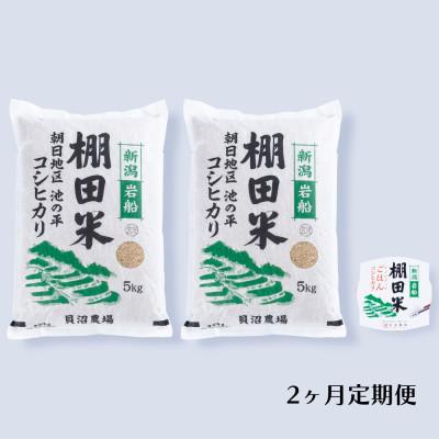 ふるさと納税 村上市 [毎月定期便]棚田米コシヒカリ(玄米) 10kg+パックごはん 1個 [123]全2回