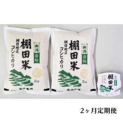 ふるさと納税 村上市 [毎月定期便]棚田米コシヒカリ(精米) 4kg+パックごはん 1個 [141]全2回