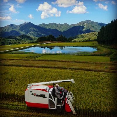 ふるさと納税 村上市 【毎月定期便】棚田米コシヒカリ(精米) 4kg+パックごはん 1個 [144]全5回の画像