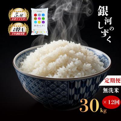 ふるさと納税 盛岡市 【毎月定期便】無洗米 銀河のしずく 30kg全12回