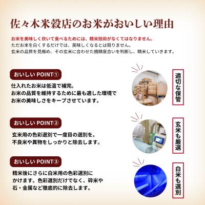 ふるさと納税 盛岡市 【毎月定期便】無洗米 銀河のしずく 30kg全12回