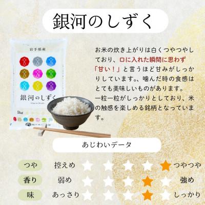 ふるさと納税 盛岡市 【毎月定期便】無洗米 銀河のしずく 30kg全12回