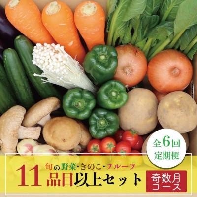 ふるさと納税 南島原市 [発送月固定定期便]野菜果物セット 野菜(キノコ)・フルーツ 11品目以上 奇数月コース全6回