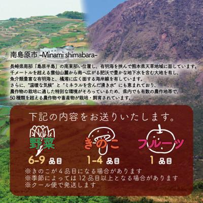 ふるさと納税 南島原市 【発送月固定定期便】野菜果物セット 野菜(キノコ)・フルーツ 11品目以上 奇数月コース全6回_1