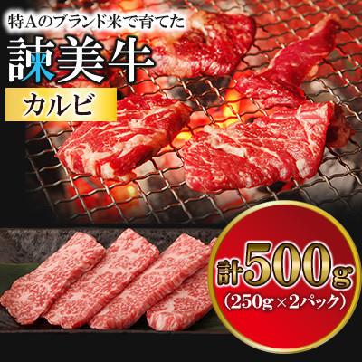ふるさと納税 諫早市 [毎月定期便]長崎県産諫美牛カルビ 500g(250g×2)全3回