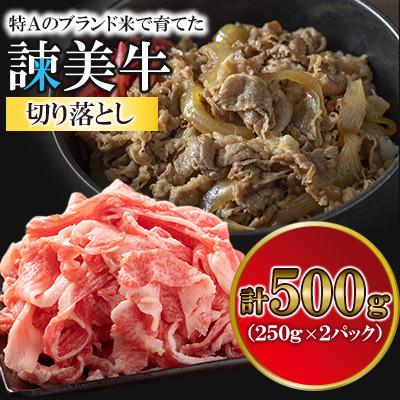 ふるさと納税 諫早市 [毎月定期便]長崎県産諫美牛切り落とし 500g(250g×2)全3回