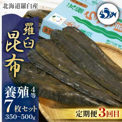 ふるさと納税 羅臼町 【毎月定期便】羅臼昆布の出汁比べ定期便(等級