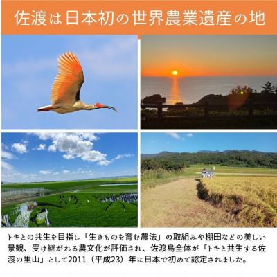 ふるさと納税 佐渡市 【発送月固定定期便】令和9年1月発送開始　新潟県佐渡産純粋コシヒカリ　白米　旨い無洗米2kg全3回 |  | 02