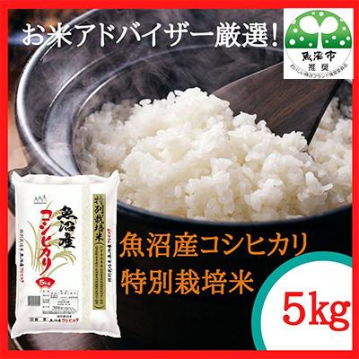 ふるさと納税 魚沼市 [毎月定期便]お米アドバイザー厳選!魚沼産コシヒカリ特別栽培米 精米計5kg全3回