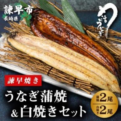 ふるさと納税 諫早市 [毎月定期便][諫早淡水]うなぎ蒲焼2尾&amp;白焼き2尾セット全3回