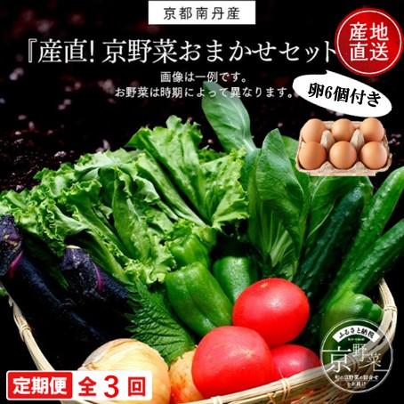 ふるさと納税 南丹市 [毎月定期便][産地直送]旬のお野菜詰め合わせ 京野菜セット6〜8種類 ネラの卵 6個付き全3回