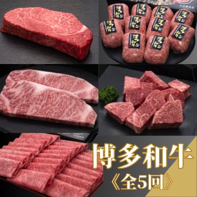 ふるさと納税 宇美町 [毎月定期便][博多和牛]ステーキ・薄切り・ハンバーグ(宇美町)全5回
