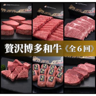 ふるさと納税 宇美町 [毎月定期便]博多和牛の旨み満喫!人気6種豪華ステーキとハンバーグ定期便(宇美町)全6回