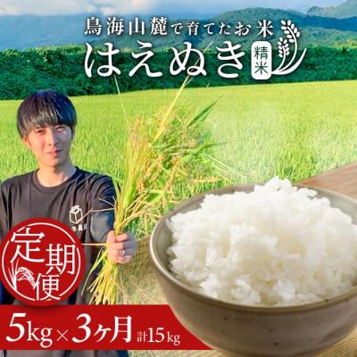 ふるさと納税 酒田市 [毎月定期便]山形県酒田産 はえぬき 精米 5kg全3回