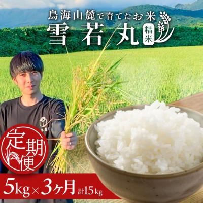 ふるさと納税 酒田市 [毎月定期便]山形県酒田産 雪若丸 精米 5kg全3回