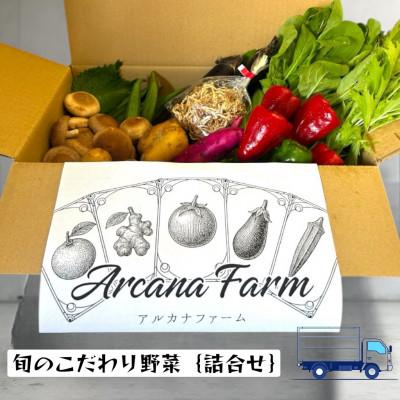 ふるさと納税 南国市 [毎月定期便]新鮮野菜 計9〜11品目全2回