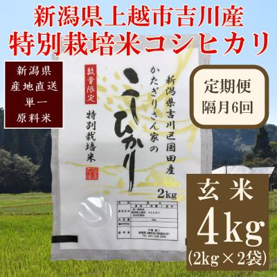ふるさと納税 上越市 [2ヵ月毎定期便]新潟県上越市吉川区国田産/特別栽培米コシヒカリ 玄米4kg(2kg×2袋)全6回