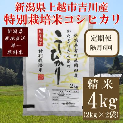 ふるさと納税 上越市 [2ヵ月毎定期便]新潟県上越市吉川区国田産/特別栽培米コシヒカリ 精米4kg(2kg×2袋)全6回