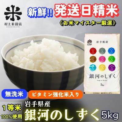 ふるさと納税 盛岡市 [毎月定期便][特A7年連続受賞中]盛岡市産銀河のしずく ビタミン強化米入り 無洗米 5kg全2回